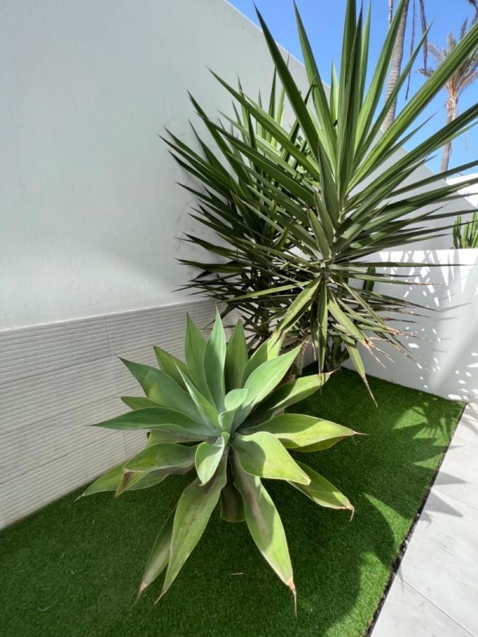 Corralejo Bristol Terrace Apartment Con Giardino Privato Esterno מראה חיצוני תמונה